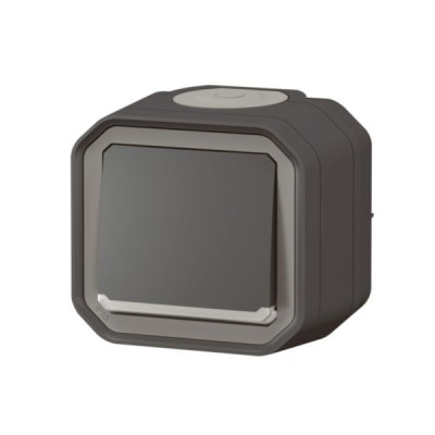 Legrand - Poussoir NO lumineux avec voyant Plexo 10A IP55 livré complet pour fixation en saillie - anthracite - Réf : 069782L