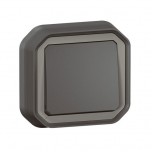 Legrand - Interrupteur ou va-et-vient étanche Plexo 10AX 250V IP55 IK08 complet encastré - anthracite - Réf : 070036