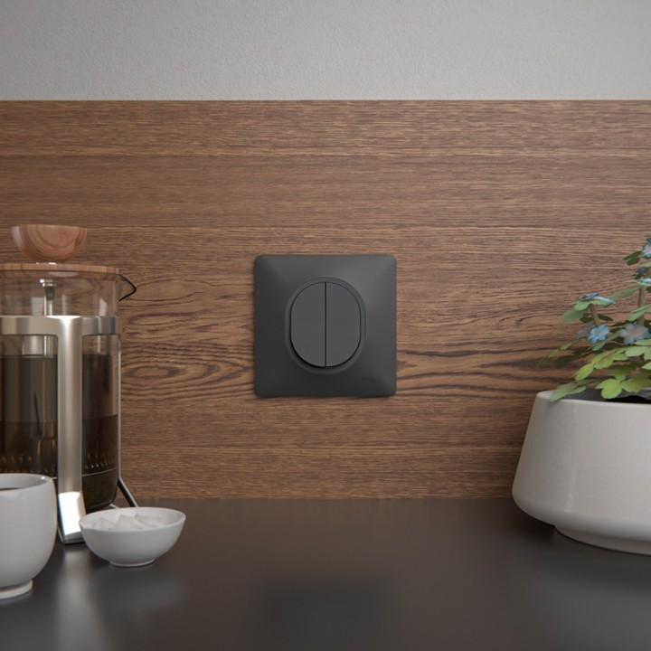 Schneider Ovalis - Interrupteur va et vient + poussoir complet anthracite - Réf : S340285-P
