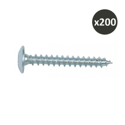 ING - Vis penture 6 x 50 zingue-blanc - Boite de 200 - Réf : INGA080220