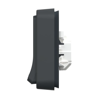 Schneider Electric - Mureva Styl - Prise courant 2P+T - Complet encastré - Anthracite - IP55 - Connexion auto - Réf : MUR35036