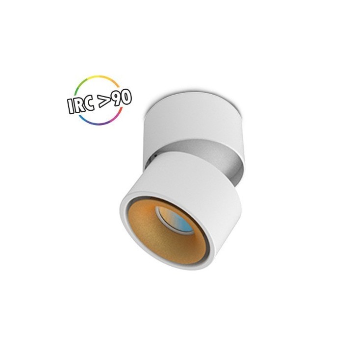 Miidex Lighting - Applique Décorative CCT 6W Blanc/Doré - Inclinable/orientable - Réf : 100486