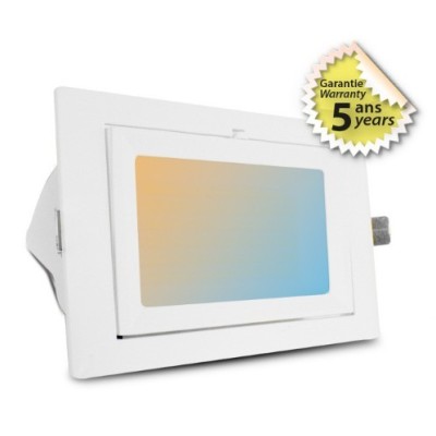 Miidex Lighting - Spot LED Rectangulaire Inclinable avec Alimentation Electronique 32/38W CCT Garantie 5 ans - Réf : 76913