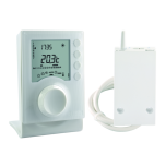 Delta Dore - Thermostat programmable radio pour chauffage eau chaude - Alimentation piles - Réf : 6053064