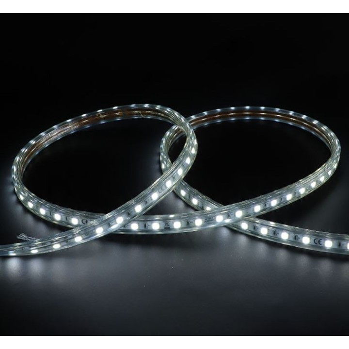 Miidex Lighting - Bobine LED 5050 4000k 50 metres 8w/m 230V ip65 - Réf : 749828