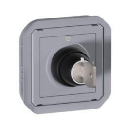 Legrand - Inter à clé - 3A - 250 V Ronis n°455 Prog Plexo composable gris - 2 positions - Réf : 069534L