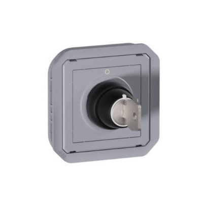 Legrand - Inter à clé - 3A - 250 V Ronis n°455 Prog Plexo composable gris - 2 positions - Réf : 069534L