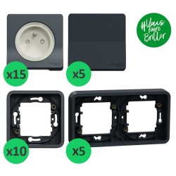 Schneider Mureva Styl - Lot de 15 prises + 5 va-et-vient + 10 cadres 1 poste + 5 cadres 2 postes - Réf : PBX0006