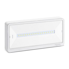 Schneider - Exiway Light - Bloc de secours Habitation IP42 SATI - Réf : OVA59210
