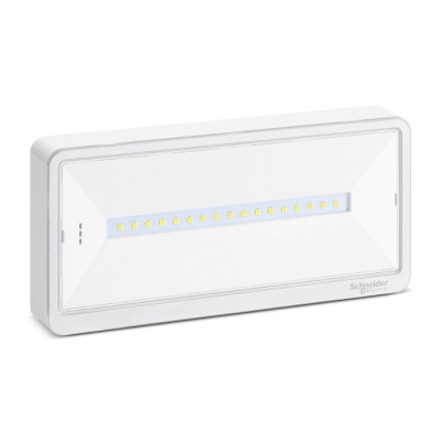 Schneider - Exiway Light - Bloc de secours Habitation IP42 SATI - Réf : OVA59210