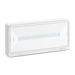 Schneider - Exiway Light - Bloc de secours Habitation IP42 SATI - Réf : OVA59210