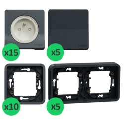 Schneider Mureva Styl - Lot 15 prises +5 va-et-vient +10 cadres 1 poste +5 cadres 2 postes -Encastrés -Anthracite - Réf: PBX0006