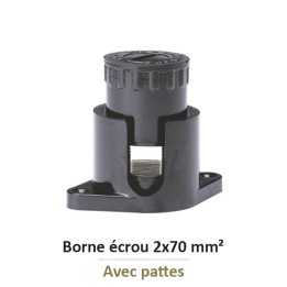 Legrand - Borne écrou 6 pans avec pattes avec capacité par borne 2x70mm² - Réf : 034045