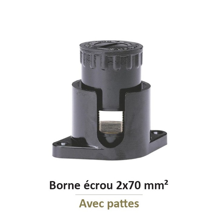 Legrand - Borne écrou 6 pans avec pattes avec capacité par borne 2x70mm² - Réf : 034045