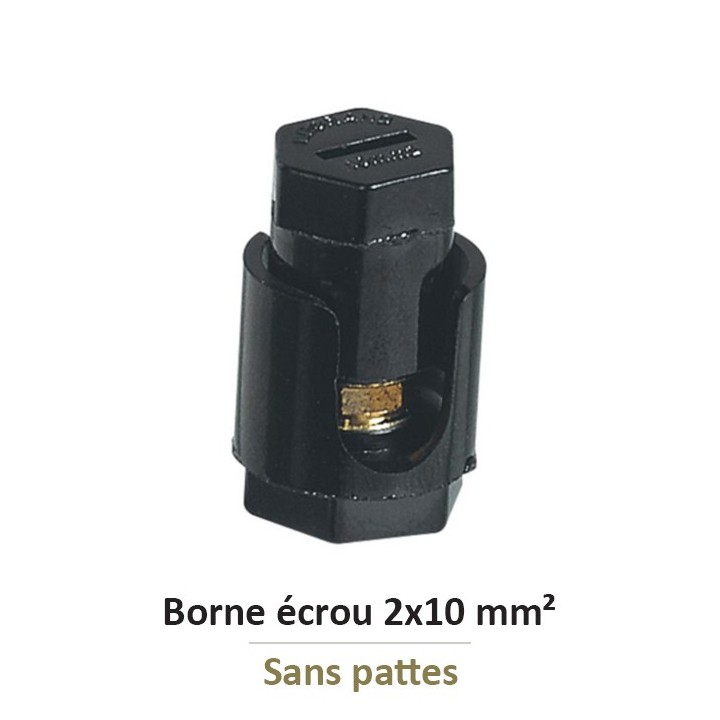 Legrand - Borne écrou 6 pans sans patte avec capacité par borne 2x10mm² - Réf : 034031