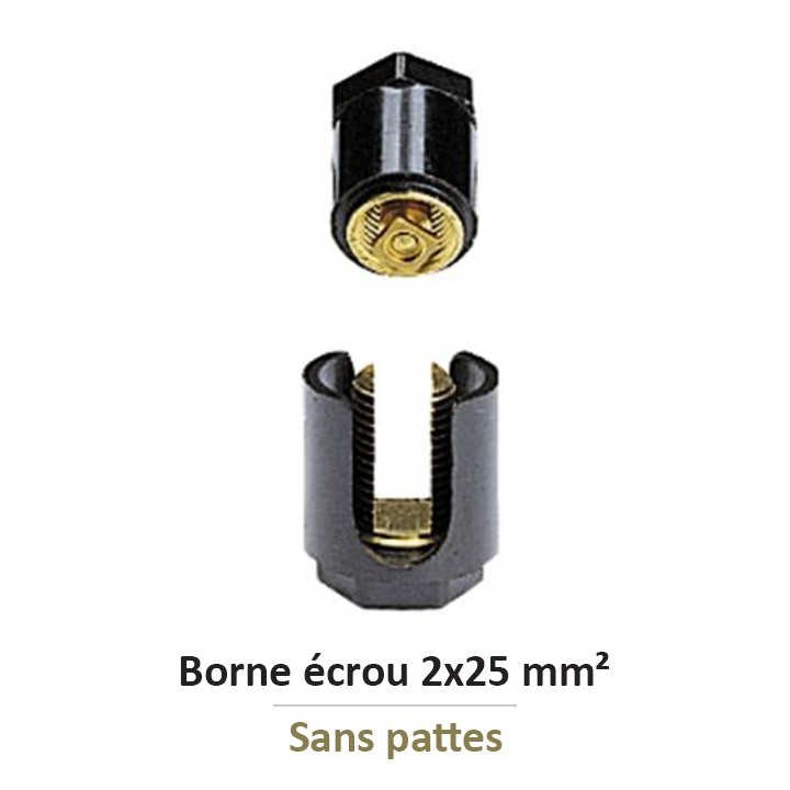 Legrand - Borne écrou 6 pans sans patte avec capacité par borne 2x25mm² - Réf : 034033