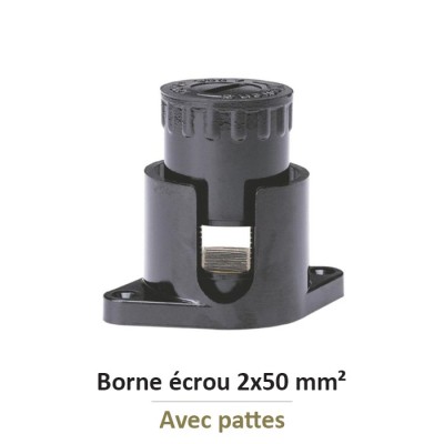 Legrand - Borne écrou 6 pans avec pattes avec capacité par borne 2x50mm² - Réf : 034044