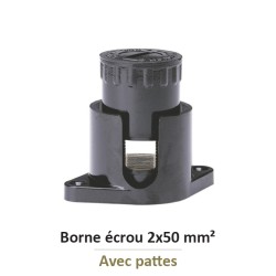 Legrand - Borne écrou 6 pans avec pattes avec capacité par borne 2x50mm² - Réf : 034044