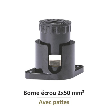 Legrand - Borne écrou 6 pans avec pattes avec capacité par borne 2x50mm² - Réf : 034044