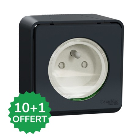 Schneider Mureva Styl - Lot de 11 Prises de courant 2P+T saillies dont 1 OFFERTE - Gris - Complet - IP55 - Réf : PBX0018