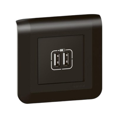 Legrand Mosaic - Chargeur 2 USB Type-A Complet  - 2,4A 12W 2 modules - Noir mat - Support vis - Réf : 079194L-P