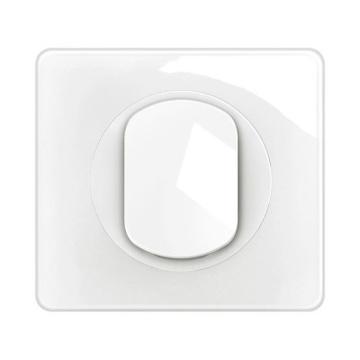 Legrand Céliane - Interrupteur ou va-et-vient 10AX 230V~ - Livré complet - Blanc - Réf : CM0001-P