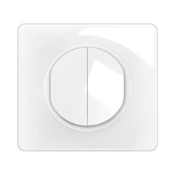 Legrand Céliane - Double interrupteur ou va-et-vient 10AX 230V~ - Livré complet - Blanc - Réf : CM0001-P2