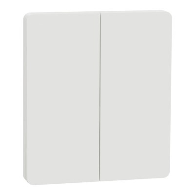 Schneider Odace Architecte Intégral - enjo et plaque - pour VV ou BP double - Blanc craie - Réf : S929224