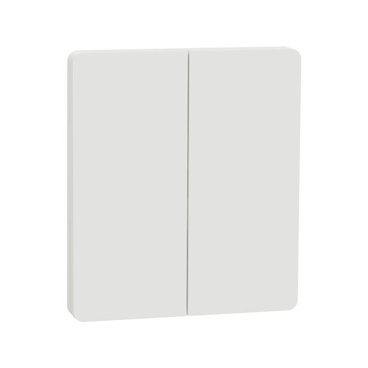 Schneider Odace Architecte Intégral - enjo et plaque - pour VV ou BP double - Blanc craie - Réf : S929224