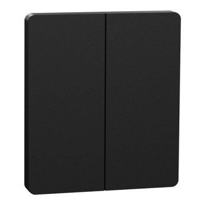 Schneider Odace Architecte Intégral - enjo et plaque - pour VV ou BP double - Noir onyx - Réf : S949224