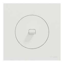 Schneider Odace - va-et-vient ou poussoir à levier avec plaque de finition - 10AX - blanc craie - Réf : S920203-P