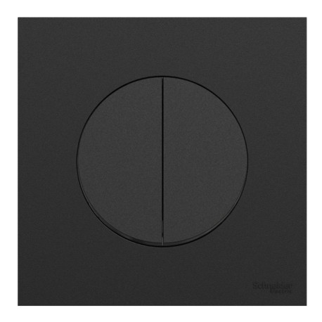 Schneider Odace - double va-et-vient ou poussoir avec plaque de finition - 10AX - noir onyx - Réf : S940214-P