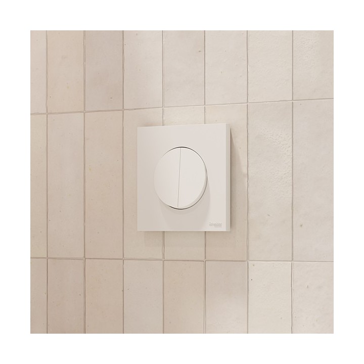 Schneider Odace - double va-et-vient ou poussoir avec plaque de finition - 10AX - blanc craie - Réf : S920214-P