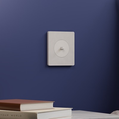 Schneider Odace - va-et-vient ou poussoir à levier avec plaque Architecte - 10AX - blanc craie - Réf : S920203-PA