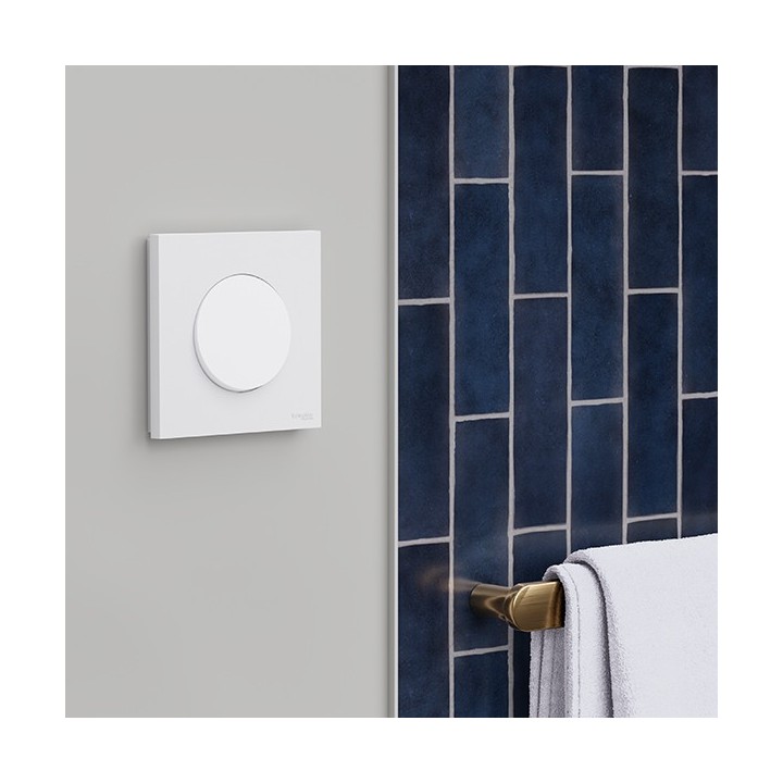 Schneider Odace - va-et-vient ou poussoir avec plaque de finition - 10AX - blanc craie - Réf : S920204-P
