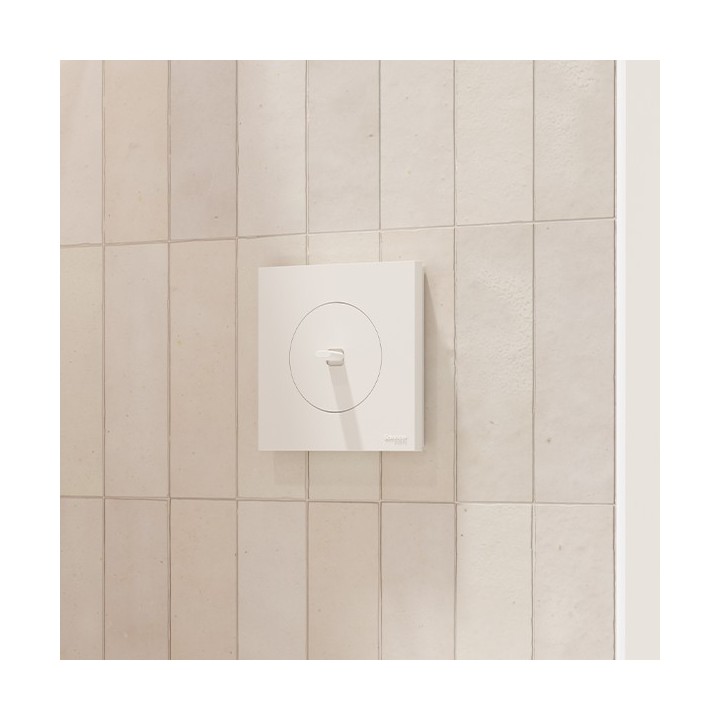 Schneider Odace - va-et-vient ou poussoir à levier avec plaque de finition - 10AX - blanc craie - Réf : S920203-P