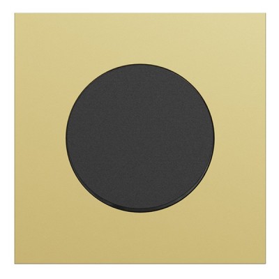 Schneider Odace - va-et-vient ou poussoir noir onyx - 10AX - avec plaque métal laiton - Réf : S940204-PL