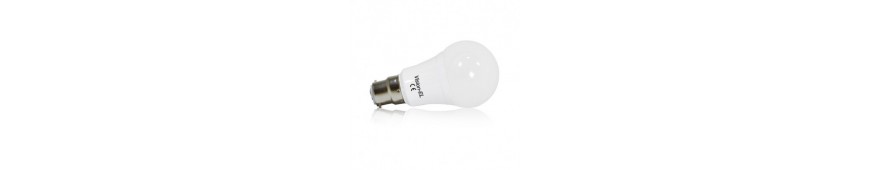 Ampoules LED - B22