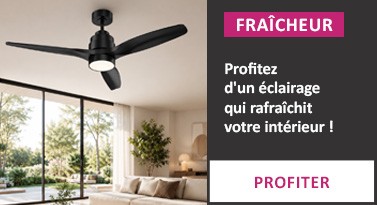 bloc ventilateur et eclairage